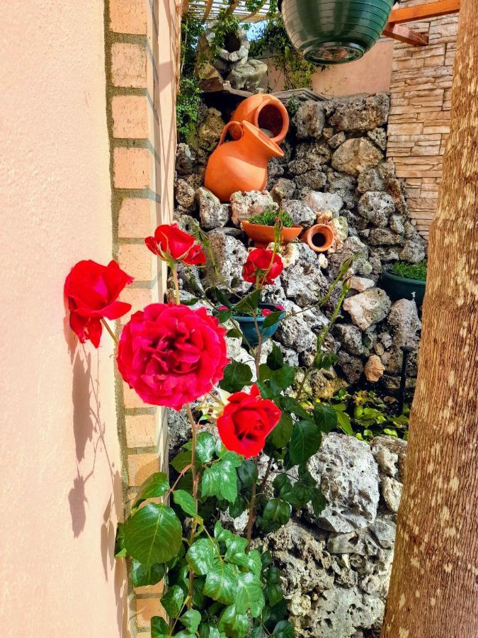 Casa Golfinho Villa Viana do Castelo Dış mekan fotoğraf